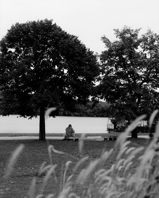 Bäume und Wiese im Park